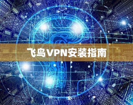 飞鸟VPN安装指南