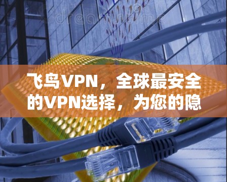 飞鸟VPN,全球最安全的VPN选择,为您的隐私保驾护航! 飞鸟VPN,全球最安全的VPN选择,为您的隐私保驾护航!