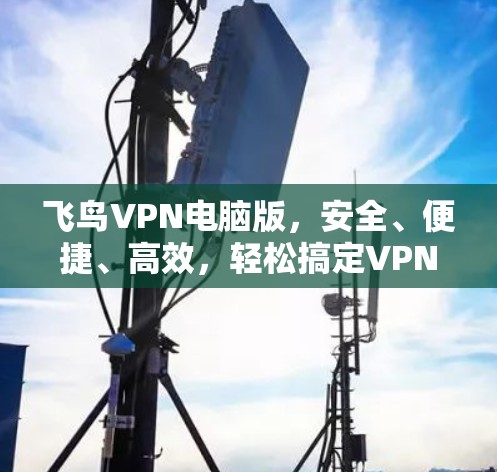 飞鸟VPN电脑版，安全、便捷、高效，轻松搞定VPN难题
