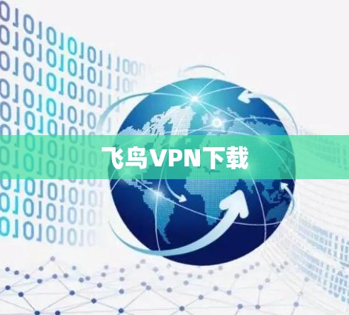 飞鸟VPN下载