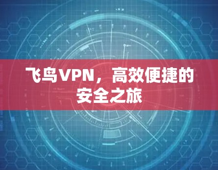 飞鸟VPN，高效便捷的安全之旅
