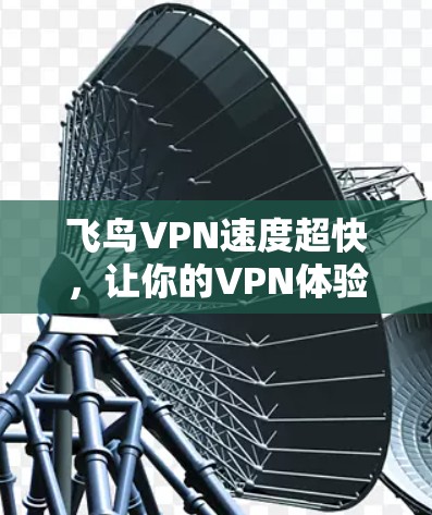 飞鸟VPN速度超快,让你的VPN体验更流畅 飞鸟VPN速度超快,让你的VPN体验更流畅