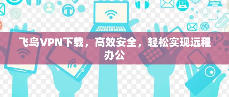 飞鸟VPN下载，高效安全，轻松实现远程办公