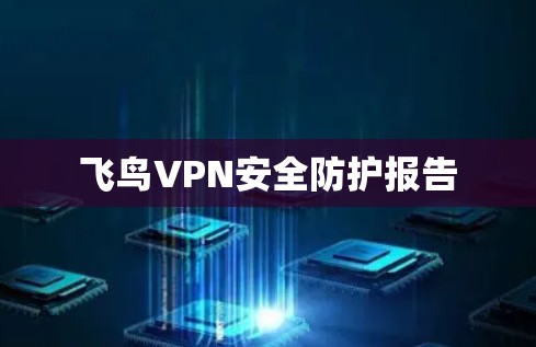 飞鸟VPN安全防护报告
