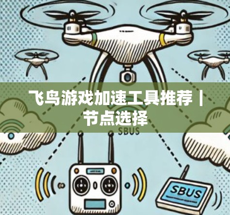 飞鸟游戏加速工具推荐|节点选择 飞鸟游戏加速工具推荐|节点选择