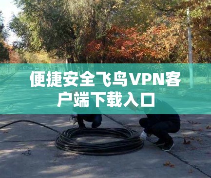 便捷安全飞鸟VPN客户端下载入口 便捷安全飞鸟VPN客户端下载入口