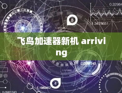 飞鸟加速器新机 arriving