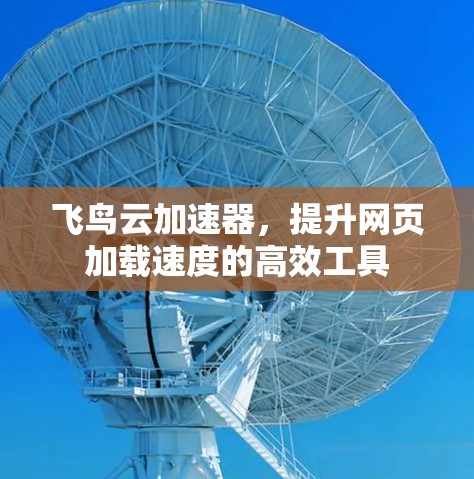 飞鸟云加速器，提升网页加载速度的高效工具
