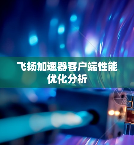 飞扬加速器客户端性能优化分析