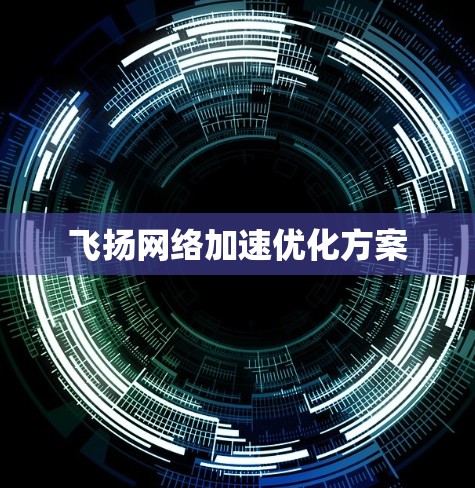 飞扬网络加速优化方案