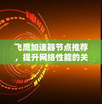 飞鹰加速器节点推荐，提升网络性能的关键