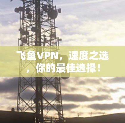 飞鱼VPN，速度之选，你的最佳选择！