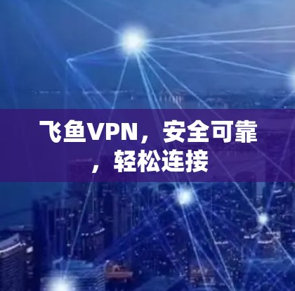 飞鱼VPN，安全可靠，轻松连接