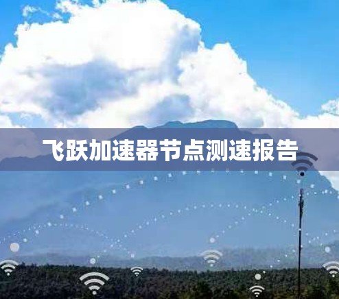 飞跃加速器节点测速报告
