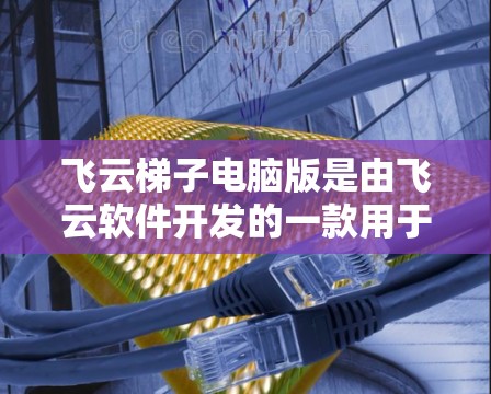 飞云梯子电脑版是由飞云软件开发的一款用于结构分析和梯子模型构建的工具。以下是对该产品的主要信息和操作步骤的总结