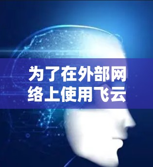 为了在外部网络上使用飞云网络加速器，您可以按照以下步骤操作