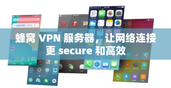 蜂窝 VPN 服务器，让网络连接更 secure 和高效