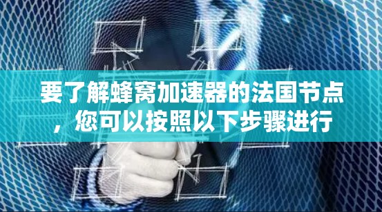 要了解蜂窝加速器的法国节点，您可以按照以下步骤进行