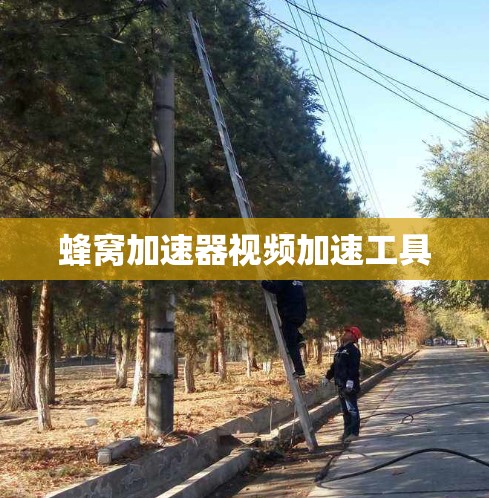 蜂窝加速器视频加速工具 蜂窝加速器视频加速工具
