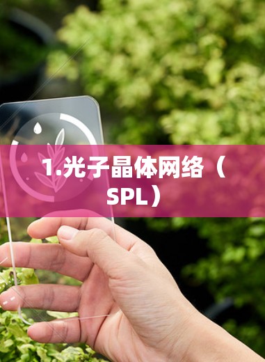 1.光子晶体网络(SPL) 1.光子晶体网络(SPL)