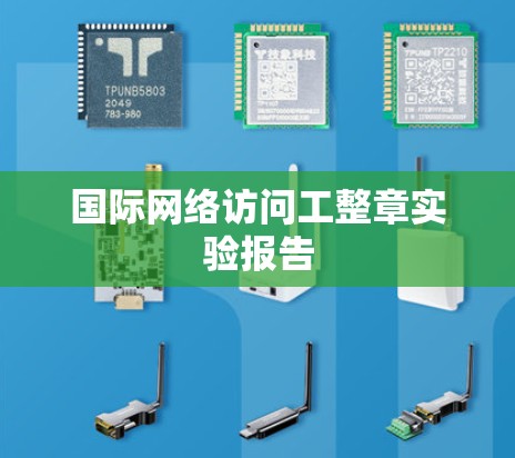 国际网络访问工整章实验报告 国际网络访问工整章实验报告