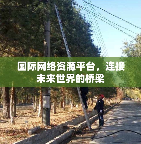 国际网络资源平台，连接未来世界的桥梁