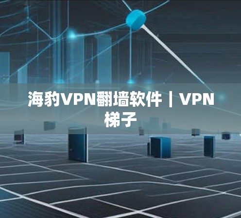 海豹VPN翻墙软件｜VPN梯子