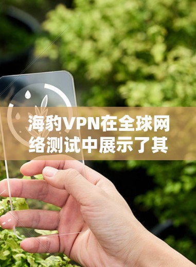 海豹VPN在全球网络测试中展示了其安全性和性能的优势。以下是对测试结果的详细分析