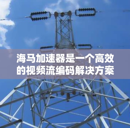 海马加速器是一个高效的视频流编码解决方案,主要基于ResNet和VGG架构。以下是对其优化的详细分析 海马加速器是一个高效的视频流编码解决方案,主要基于ResNet和VGG架构。以下是对其优化的详细分析