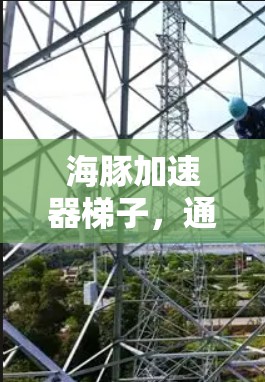 海豚加速器梯子,通信领域的创新解决方案 海豚加速器梯子,通信领域的创新解决方案