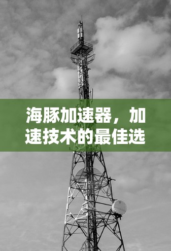 海豚加速器,加速技术的最佳选择 海豚加速器,加速技术的最佳选择