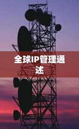 全球IP管理通述