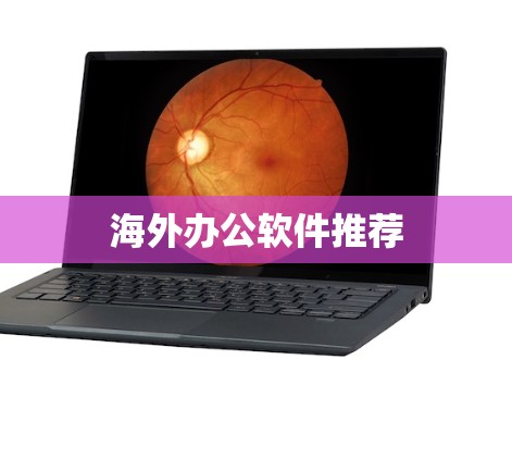 海外办公软件推荐