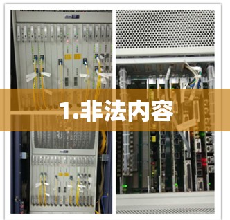 1.非法内容 1.非法内容