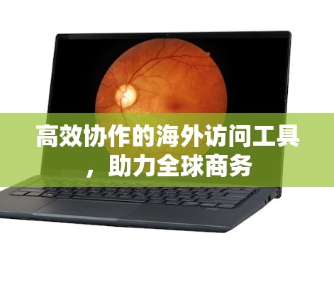 高效协作的海外访问工具,助力全球商务 高效协作的海外访问工具,助力全球商务