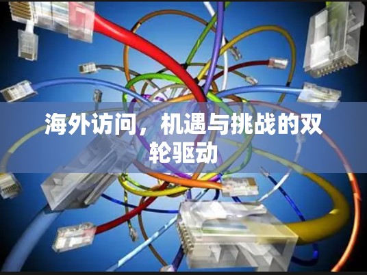 海外访问，机遇与挑战的双轮驱动