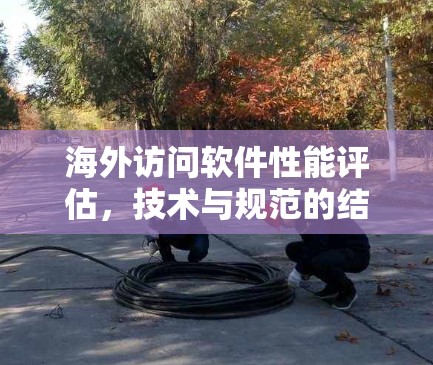 海外访问软件性能评估，技术与规范的结合