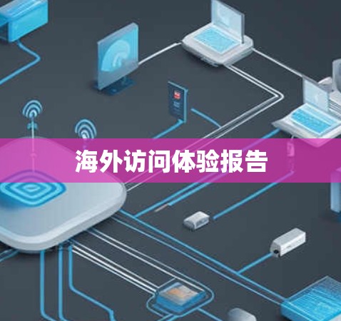 海外访问体验报告 海外访问体验报告