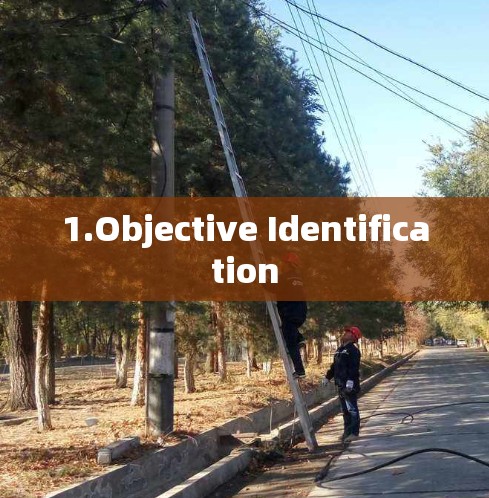 1.Objective Identification 1.Objective Identification