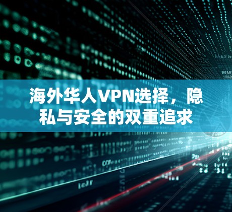 海外华人VPN选择，隐私与安全的双重追求