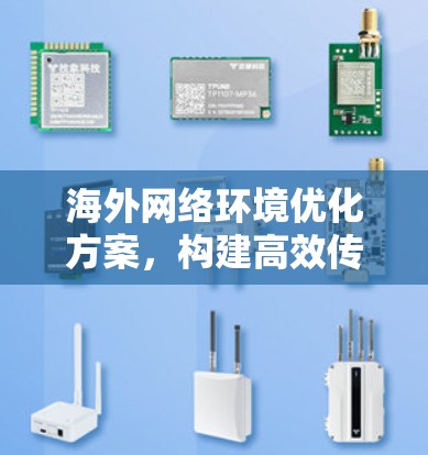海外网络环境优化方案,构建高效传输能力与安全防护 海外网络环境优化方案,构建高效传输能力与安全防护