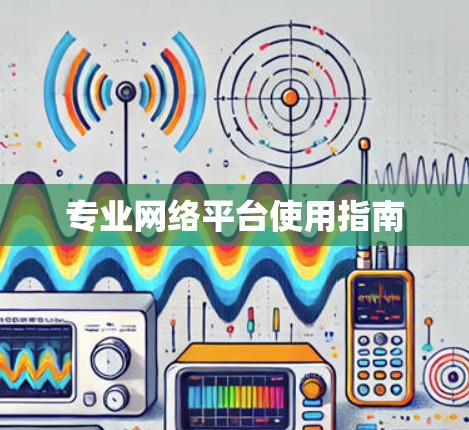 专业网络平台使用指南