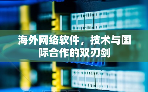 海外网络软件，技术与国际合作的双刃剑