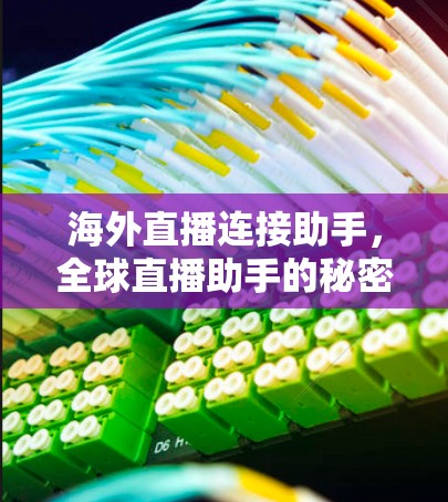 海外直播连接助手，全球直播助手的秘密