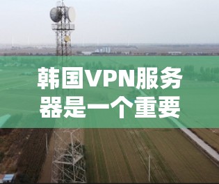 韩国VPN服务器是一个重要的功能，通过这些服务器，用户可以在线观看视频、在线聊天等。以下是一些韩国知名VPN服务器