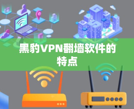 黑豹VPN翻墙软件的特点 黑豹VPN翻墙软件的特点