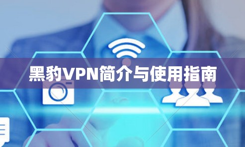 黑豹VPN简介与使用指南 黑豹VPN简介与使用指南