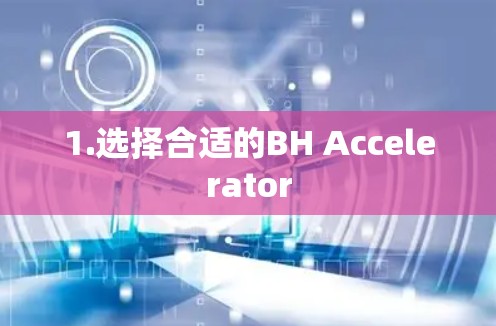 1.选择合适的BH Accelerator