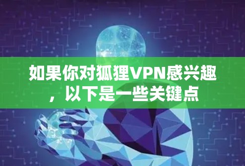如果你对狐狸VPN感兴趣，以下是一些关键点
