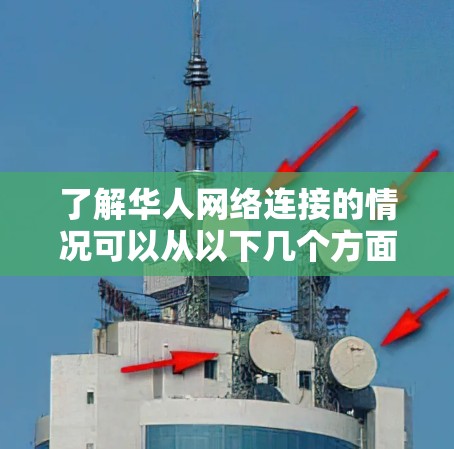 了解华人网络连接的情况可以从以下几个方面进行分析
